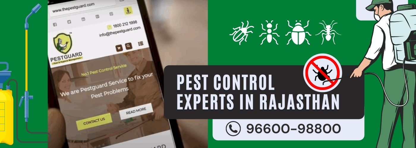PEST CONTROL EXPERTS IN RAJASTHAN