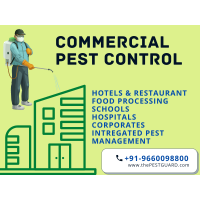 Commercial Pest Control Services