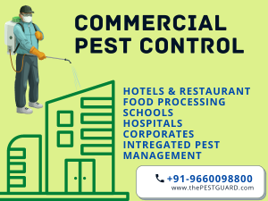 Commercial Pest Control Services