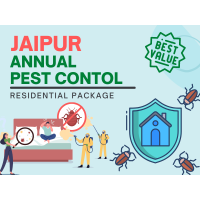 Annual Pest Control Service in Jaipur