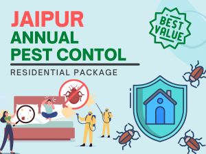 Annual Pest Control Service in Jaipur