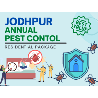 Annual Pest Control Service in Jodhpur