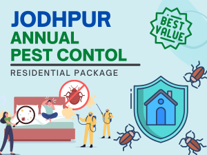 Annual Pest Control Service in Jodhpur