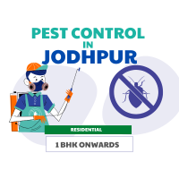 Pest Control in Jodhpur
