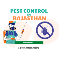 Pest Control Service in Rajasthan