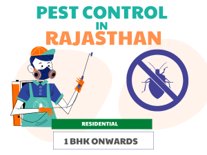 Pest Control Service in Rajasthan