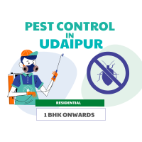 Pest Control Service in Udaipur