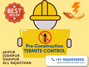 Pre Construction Termite Treatment