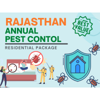 Annual Pest Control Service in Rajasthan