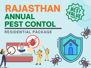 Annual Pest Control Service in Rajasthan