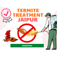 Termite Treatment in Jaipur