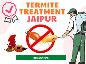 Termite Treatment in Jaipur