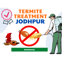 Termite Treatment in Jodhpur