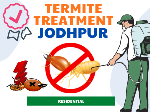 Termite Treatment in Jodhpur