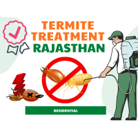 Termite Treatment in Rajasthan