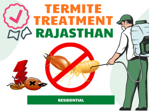 Termite Treatment in Rajasthan