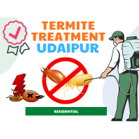 Termite Treatment in Udaipur