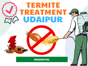 Termite Treatment in Udaipur