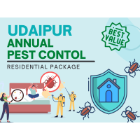 Annual Pest Control Service in Udaipur