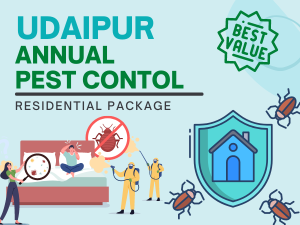 Annual Pest Control Service in Udaipur